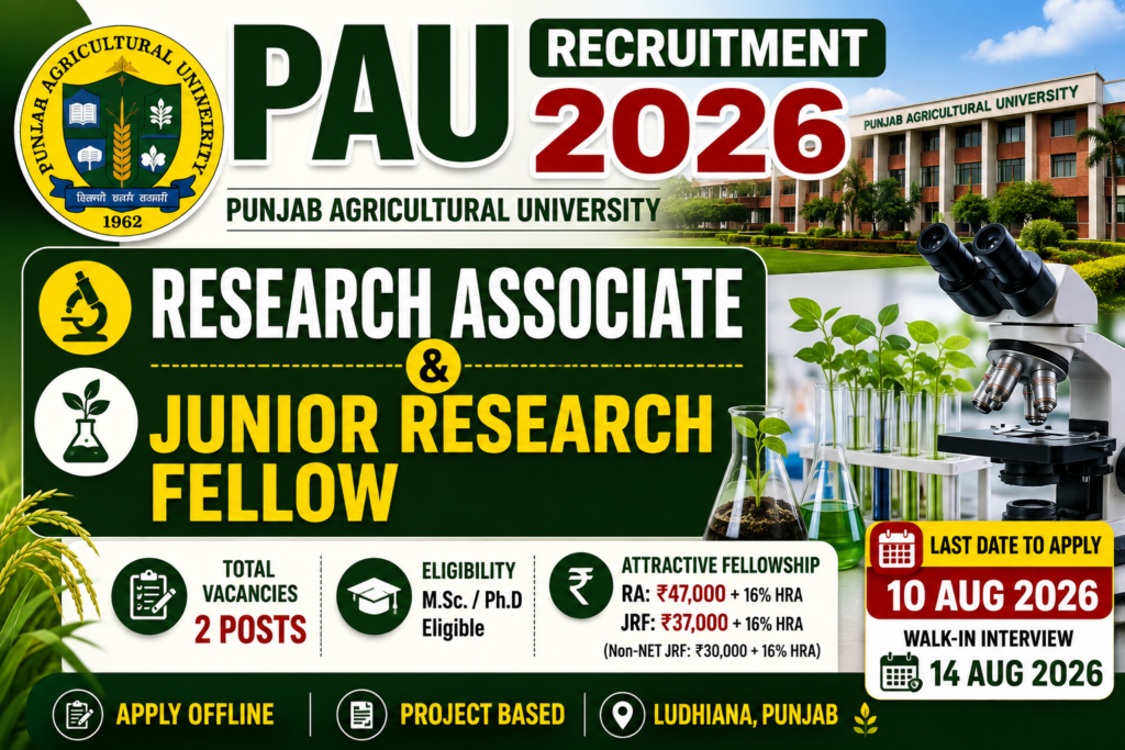 Punjab Agricultural University Jobs 2026